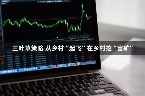 三叶草策略 从乡村“起飞”在乡村挖“富矿”