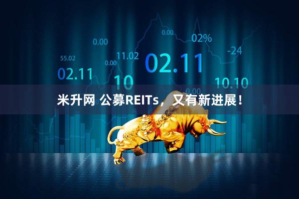 米升网 公募REITs，又有新进展！