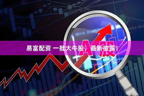 易富配资 一批大牛股，最新披露！
