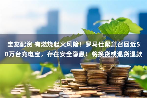 宝龙配资 有燃烧起火风险！罗马仕紧急召回近50万台充电宝，存在安全隐患！将换货或退货退款