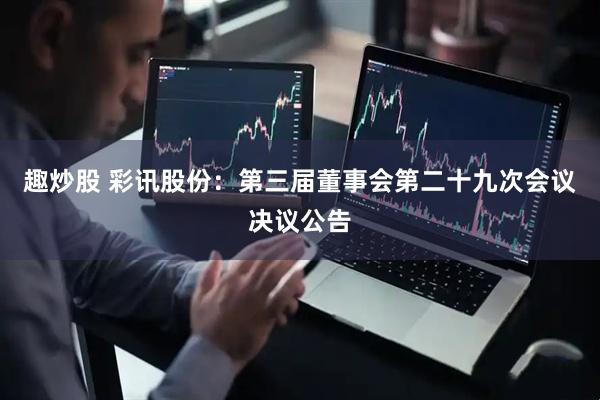趣炒股 彩讯股份：第三届董事会第二十九次会议决议公告