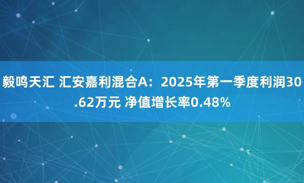 毅鸣天汇 汇安嘉利混合A：2025年第一季度利润30.62万元 净值增长率0.48%