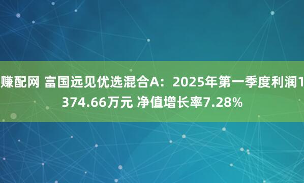 赚配网 富国远见优选混合A：2025年第一季度利润1374.66万元 净值增长率7.28%