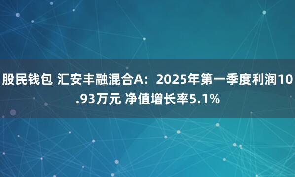 股民钱包 汇安丰融混合A：2025年第一季度利润10.93万元 净值增长率5.1%