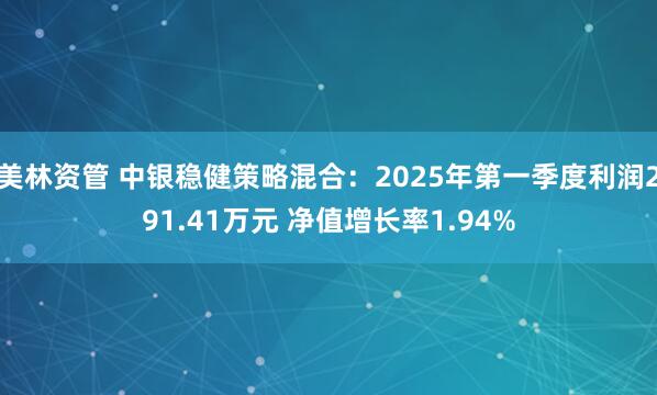 美林资管 中银稳健策略混合：2025年第一季度利润291.41万元 净值增长率1.94%