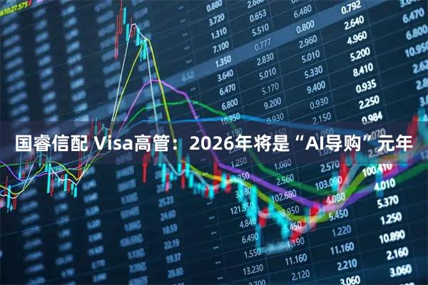 国睿信配 Visa高管:2026年将是“AI导购”元年